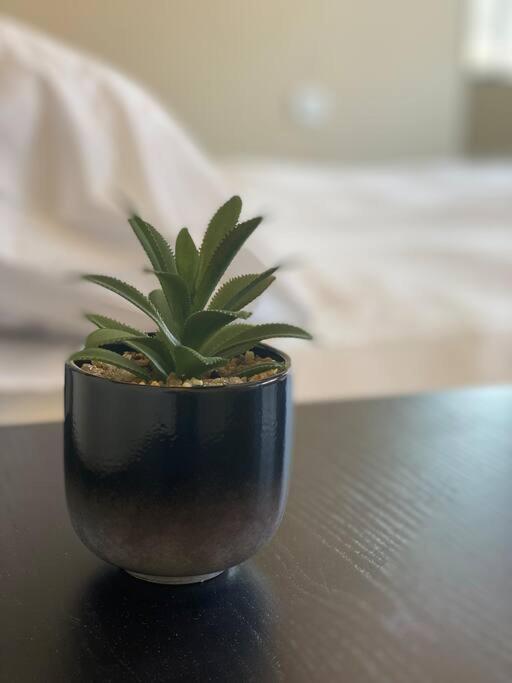 תל אביב Prime Location! 1 Bedroom Apt In Tlv Beating Heart מראה חיצוני תמונה