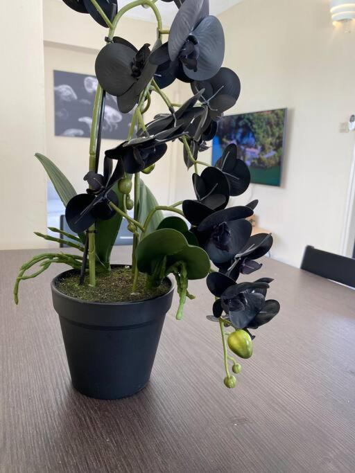 תל אביב Prime Location! 1 Bedroom Apt In Tlv Beating Heart מראה חיצוני תמונה